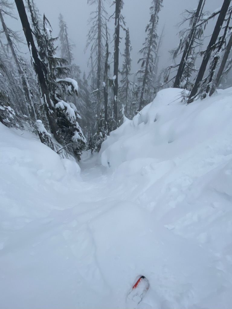 Skiing through a snowy forest